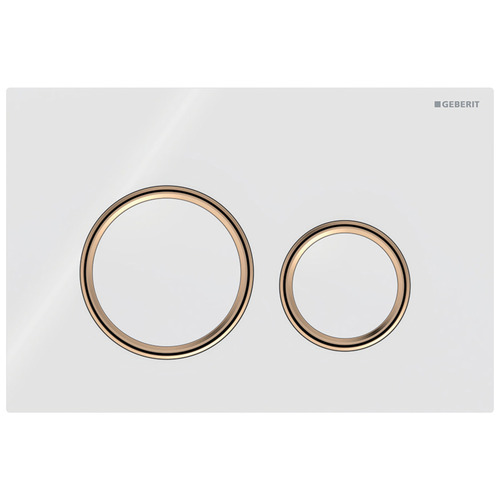 Sigma21 Dual Flush Button