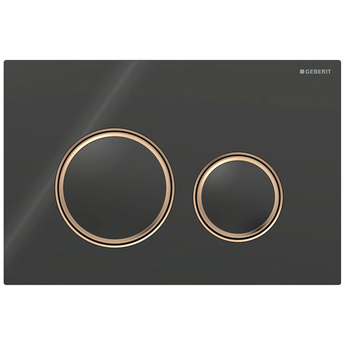 Sigma21 Dual Flush Button