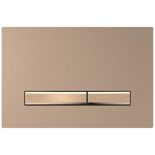 Sigma50 Dual Flush Button