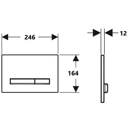 Sigma50 Dual Flush Button