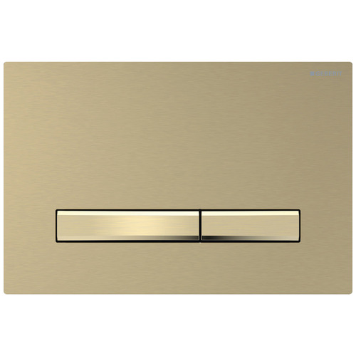 Sigma50 Dual Flush Button