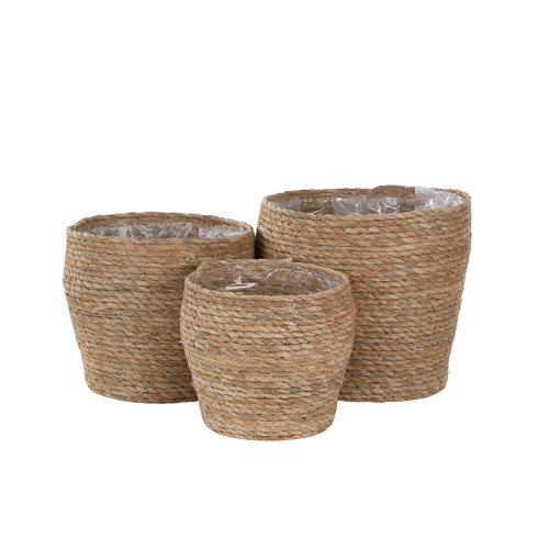 3 Piece Dewi 26cm Cattail Grass Planter Set