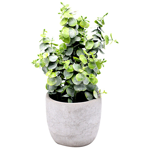 Hub Living 29cm Potted Faux Eucalyptus Plant & Reviews Temple & ster