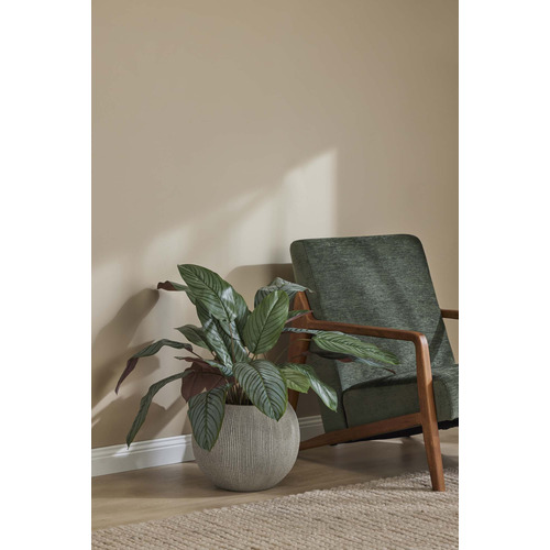 Yvette Rubberwood Armchair