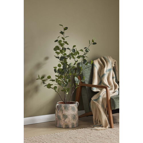 Yvette Rubberwood Armchair