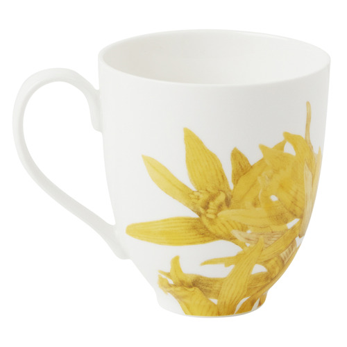 Yellow Royal Botanic Gardens 350ml Porcelain Mug | Temple & Webster