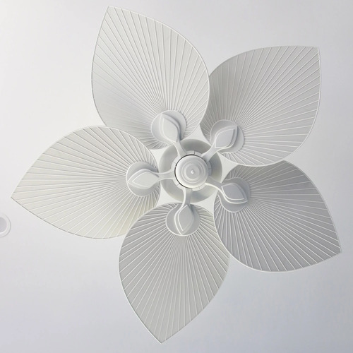 Tropicana AC Ceiling Fan