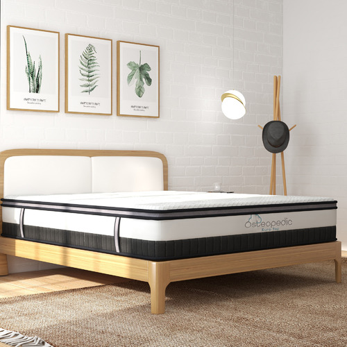 osteopedic euro top pocket spring queen bed mattress