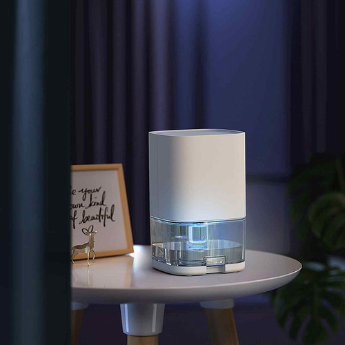 Compact Dehumidifier with LED