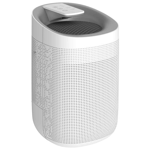 2-in-1 Air Purifier & Dehumidifier | Temple & Webster