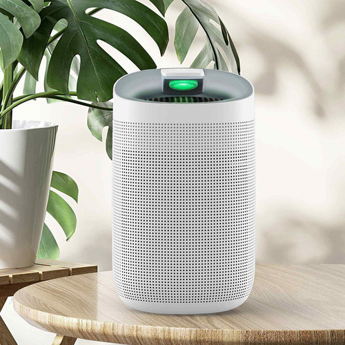 2-in-1 Air Purifier with Dehumidifier