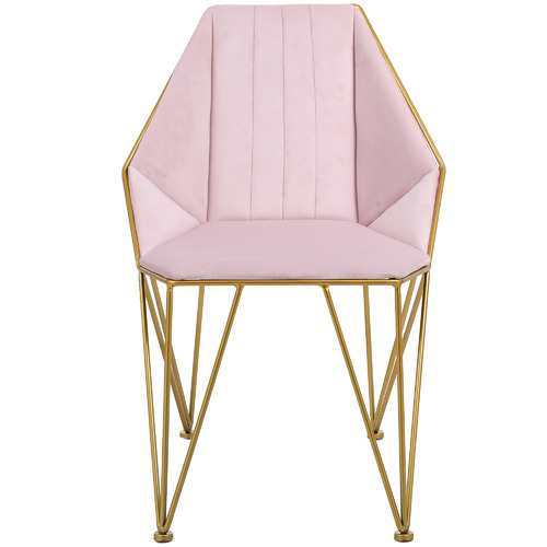 Albion Collection Bat Velvet Dining Chairs | Temple & Webster