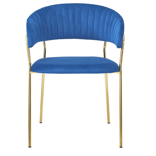 Etienne Velvet Dining Chairs