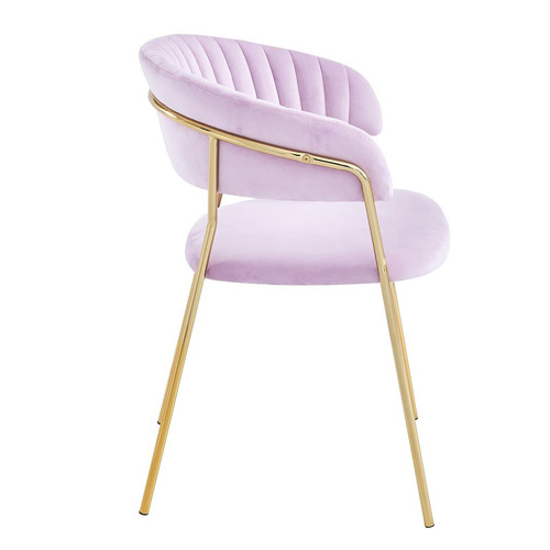 Etienne Velvet Dining Chairs