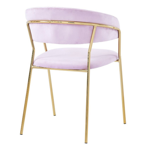 Etienne Velvet Dining Chairs