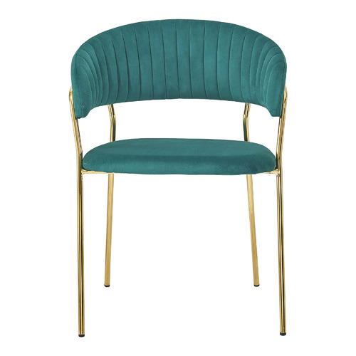 Etienne Velvet Dining Chairs