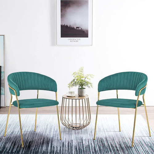 Etienne Velvet Dining Chairs