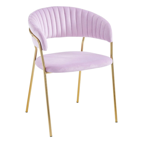 Etienne Velvet Dining Chairs