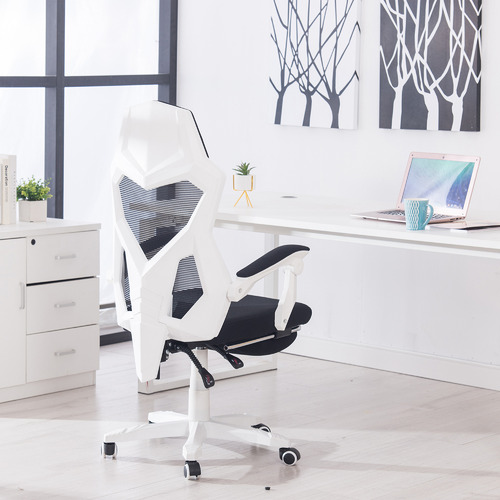 Homefun White & Black Modern Office Chair & Reviews Temple & ster