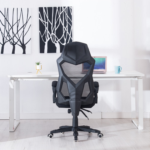 Homefun White & Black Modern Office Chair & Reviews Temple & ster
