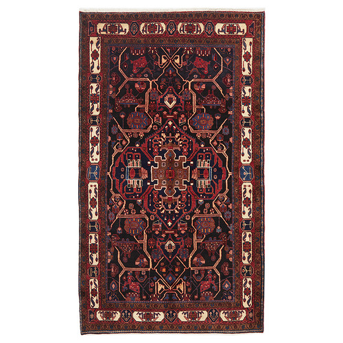 Amoli Hand-Knotted Wool Toyserkan Rug
