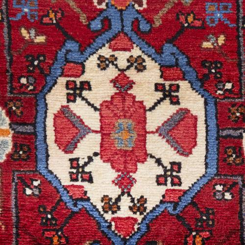 Ahmir Hand-Knotted Wool Persian Rug