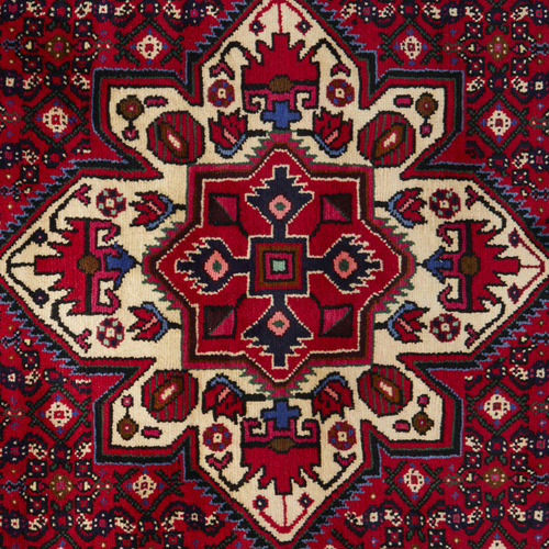 Pirouz Hand-Knotted Wool Persian Rug