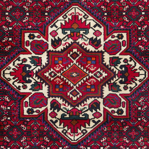 Ligaia Hand-Knotted Wool Persian Rug