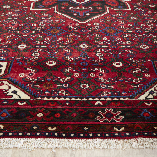 Roxana Hand-Knotted Wool Persian Rug