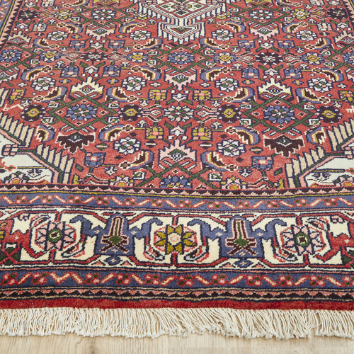 Renee Hand-Knotted Wool Persian Rug