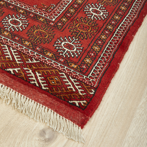 Rhea Hand-Knotted Wool Persian Rug