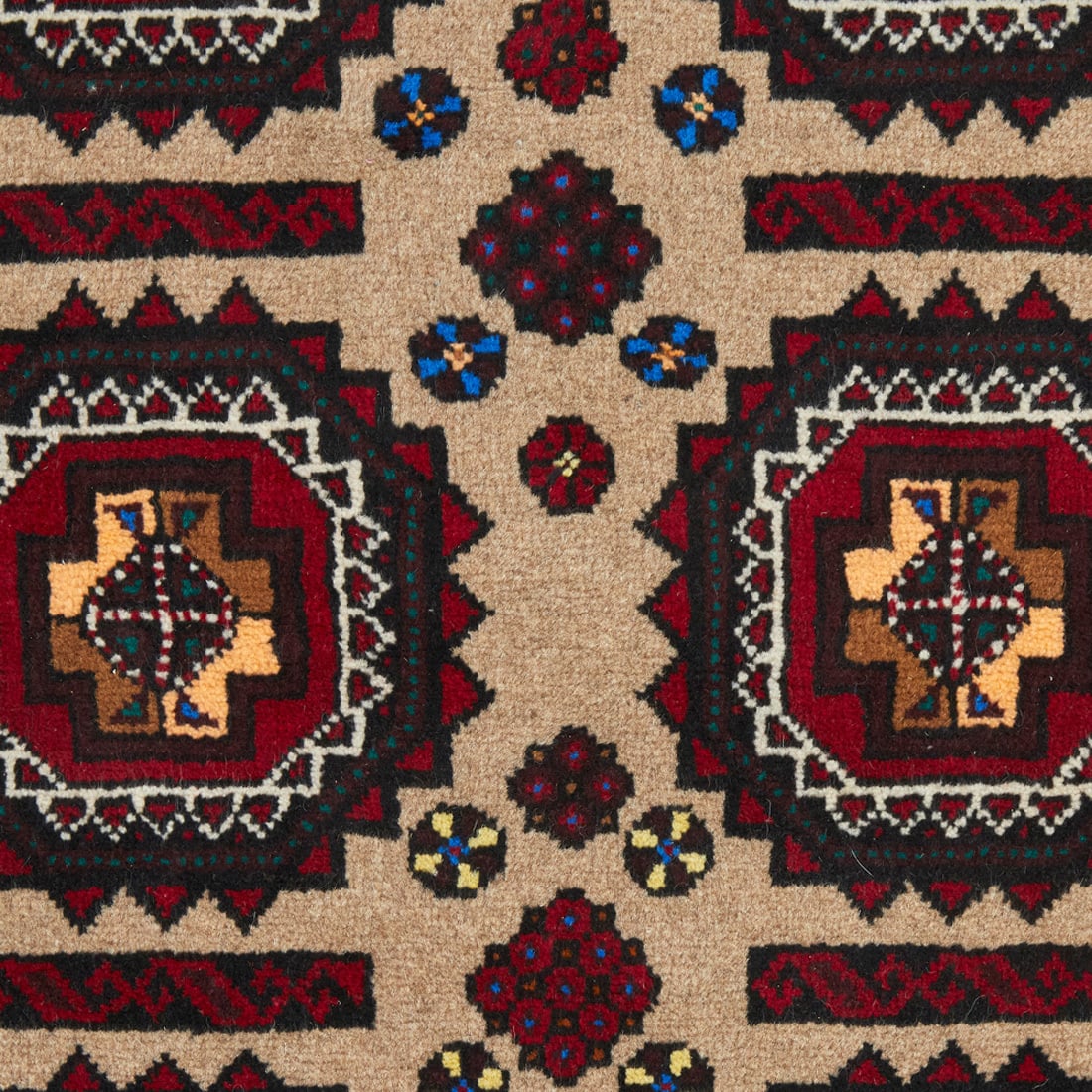 Aleen Hand Knotted Traditional Wool Rug