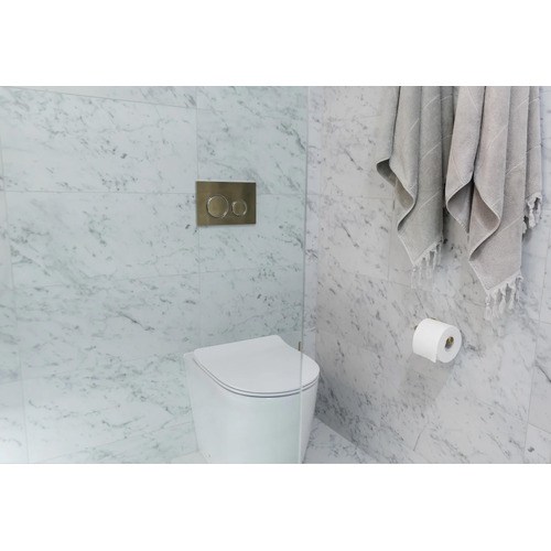 Sigma-21-Dual-Flush-Plate-by-Geberit