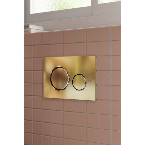 Sigma-21-Dual-Flush-Plate-by-Geberit