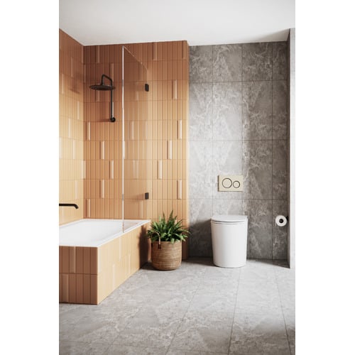Sigma-21-Dual-Flush-Plate-by-Geberit