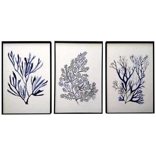 Evelyn_Home Blue Corals Framed Paper Print Wall Art Triptych Temple & ster
