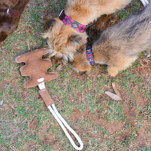 leather dog chew