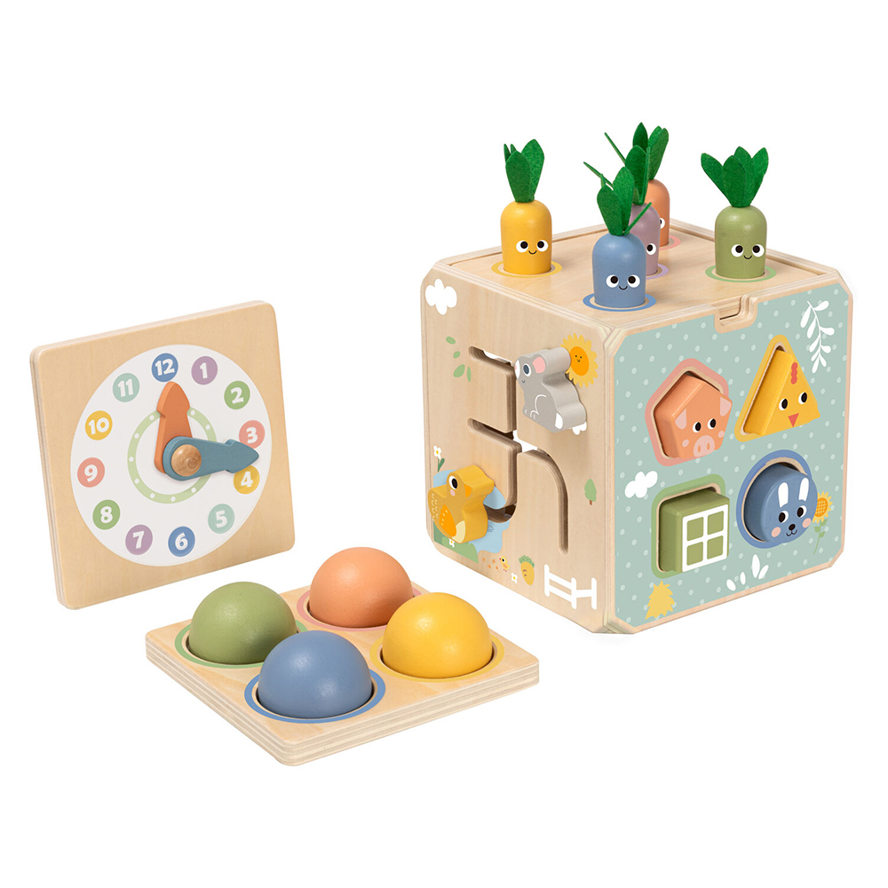 Tooky Toy Wooden Activity Cube