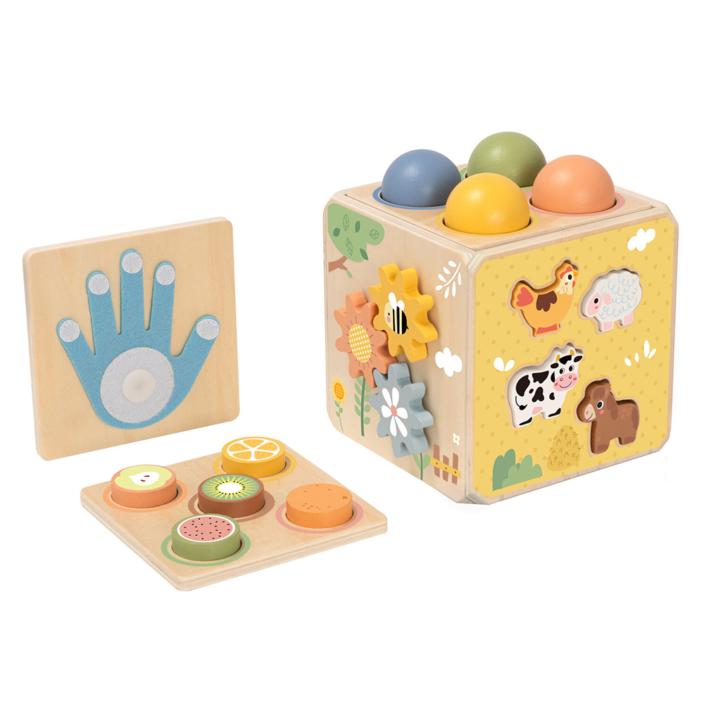 Tooky Toy Wooden Activity Cube