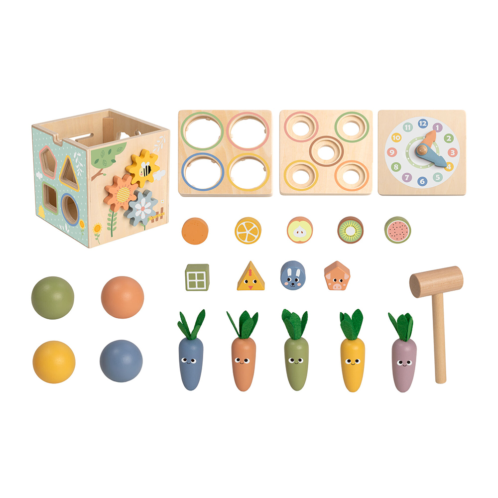 Tooky Toy Wooden Activity Cube