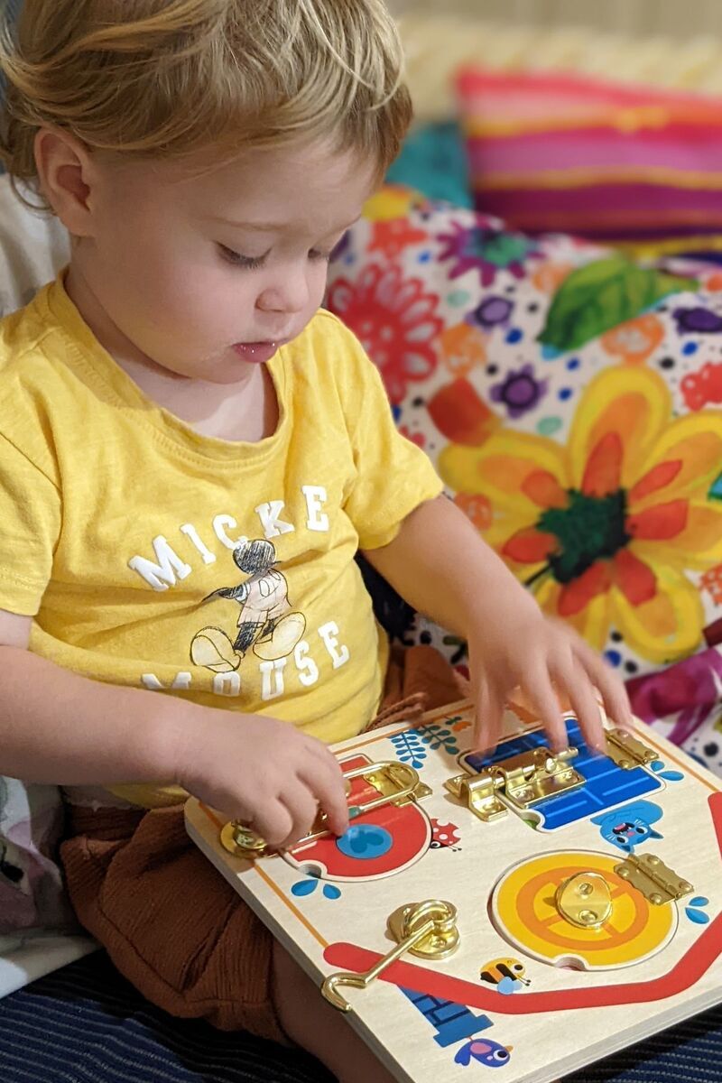 Tooky Toy Latches Activity Board