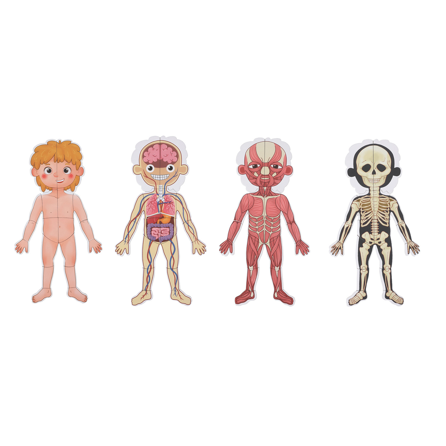 Tooky Toy Magnetic Body Chart