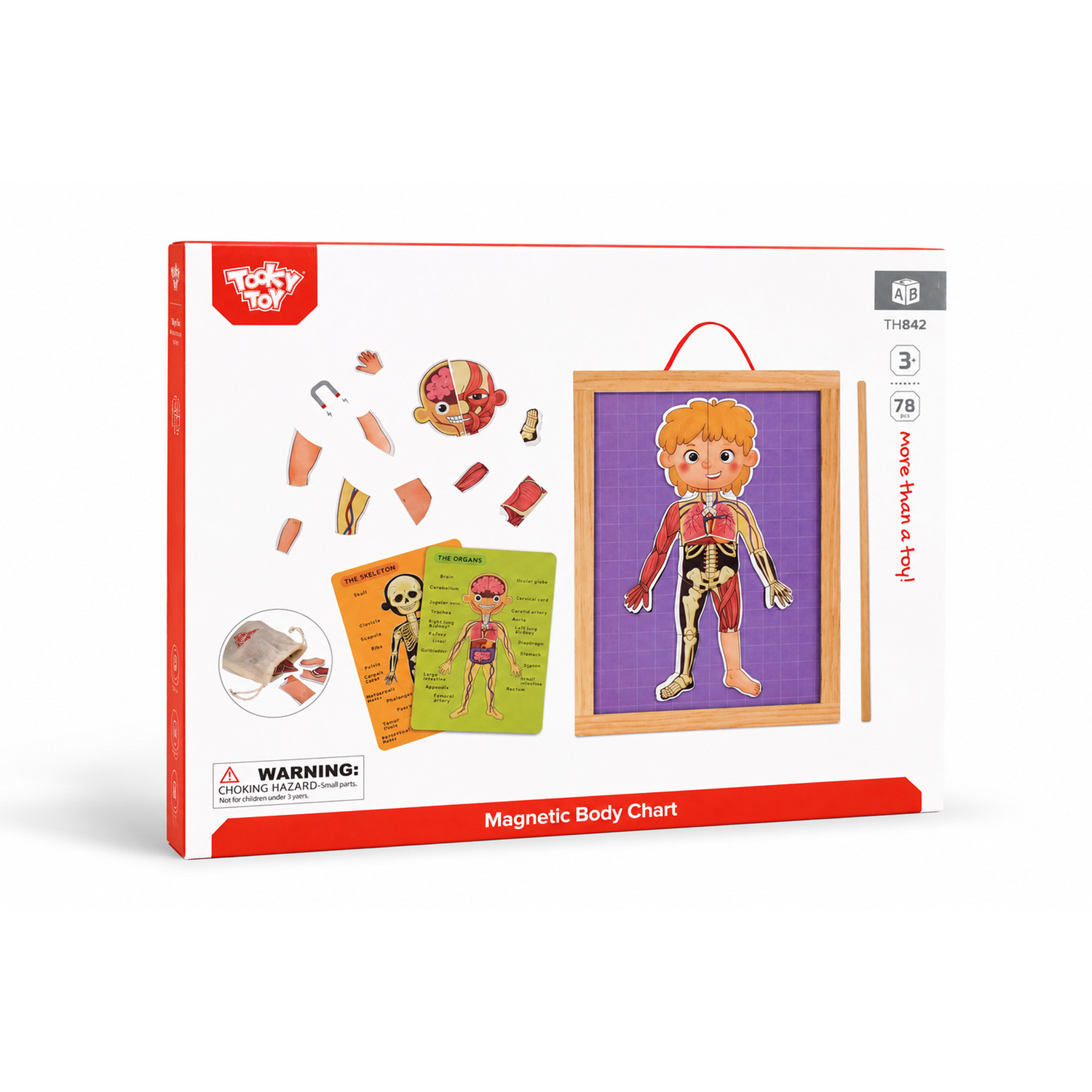 Tooky Toy Magnetic Body Chart