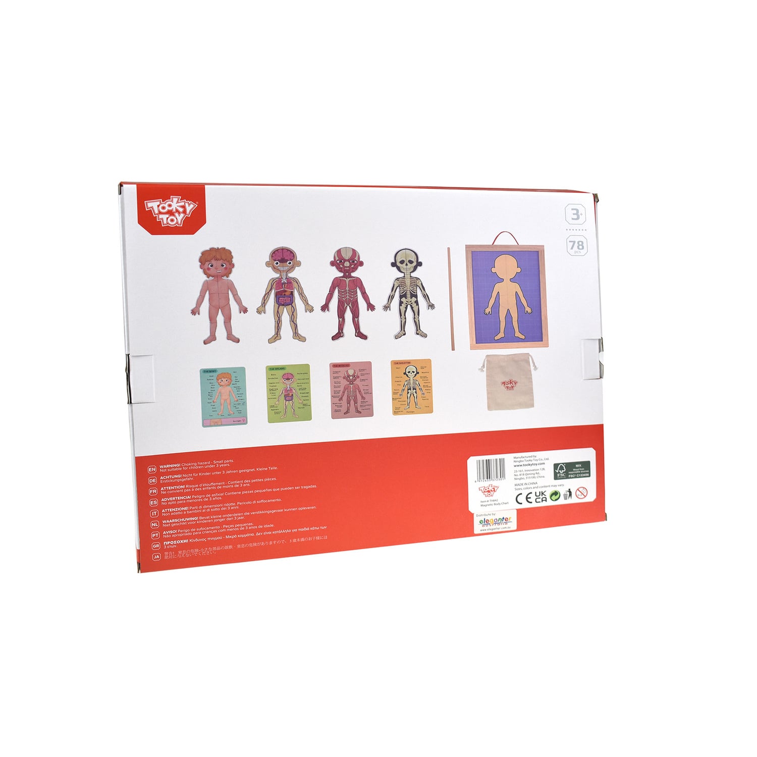 Tooky Toy Magnetic Body Chart