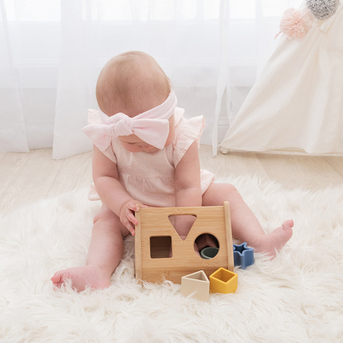 house shape sorter