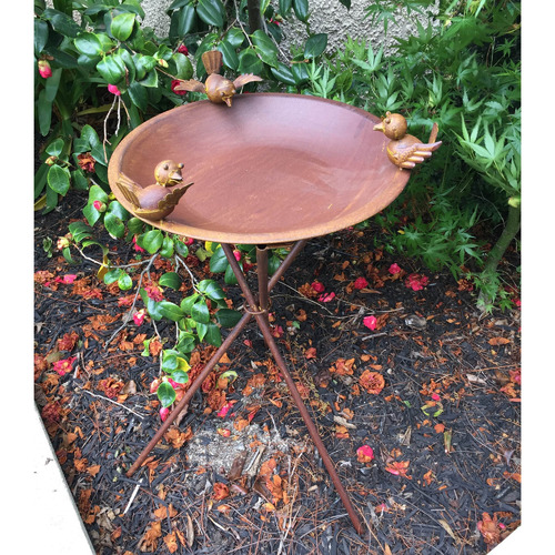 The Complete Garden Rust Metal Bird Bath & Feeder Temple & ster