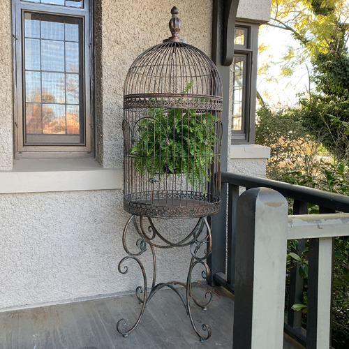 The Complete Garden Antique Bronze Bird Cage | Temple & Webster