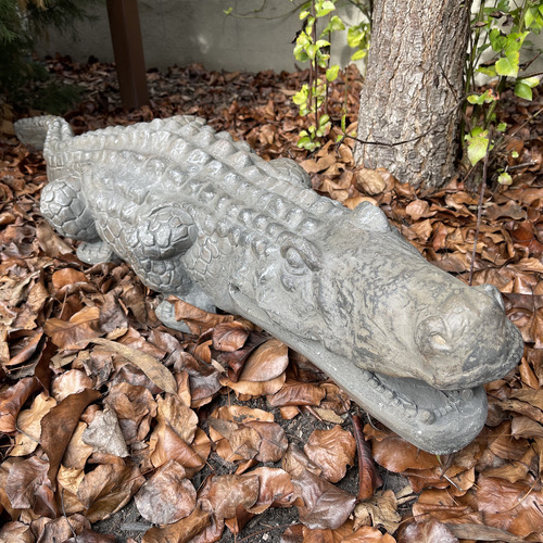 Ripley Crocodile Fibrestone Statue