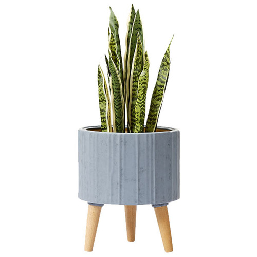 Modern 31cm Render Planter Pot | Temple & Webster