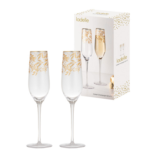Comet Champagne Glasses